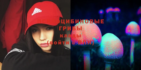 гидра Балахна