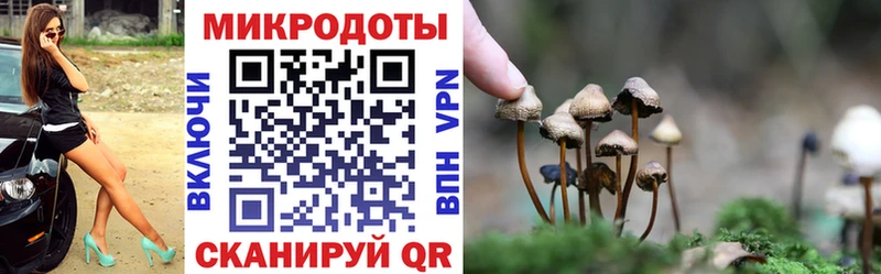 Галлюциногенные грибы прущие грибы магазин наркотиков Кудрово